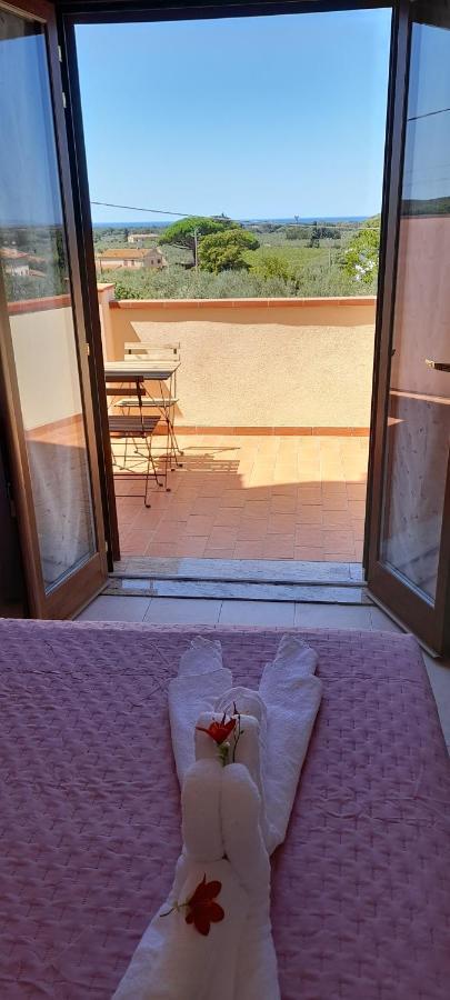 Agriturismo Il Vecchio Olivo Castagneto Carducci Kültér fotó