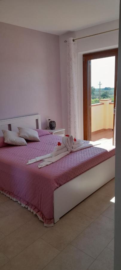 Agriturismo Il Vecchio Olivo Castagneto Carducci Kültér fotó