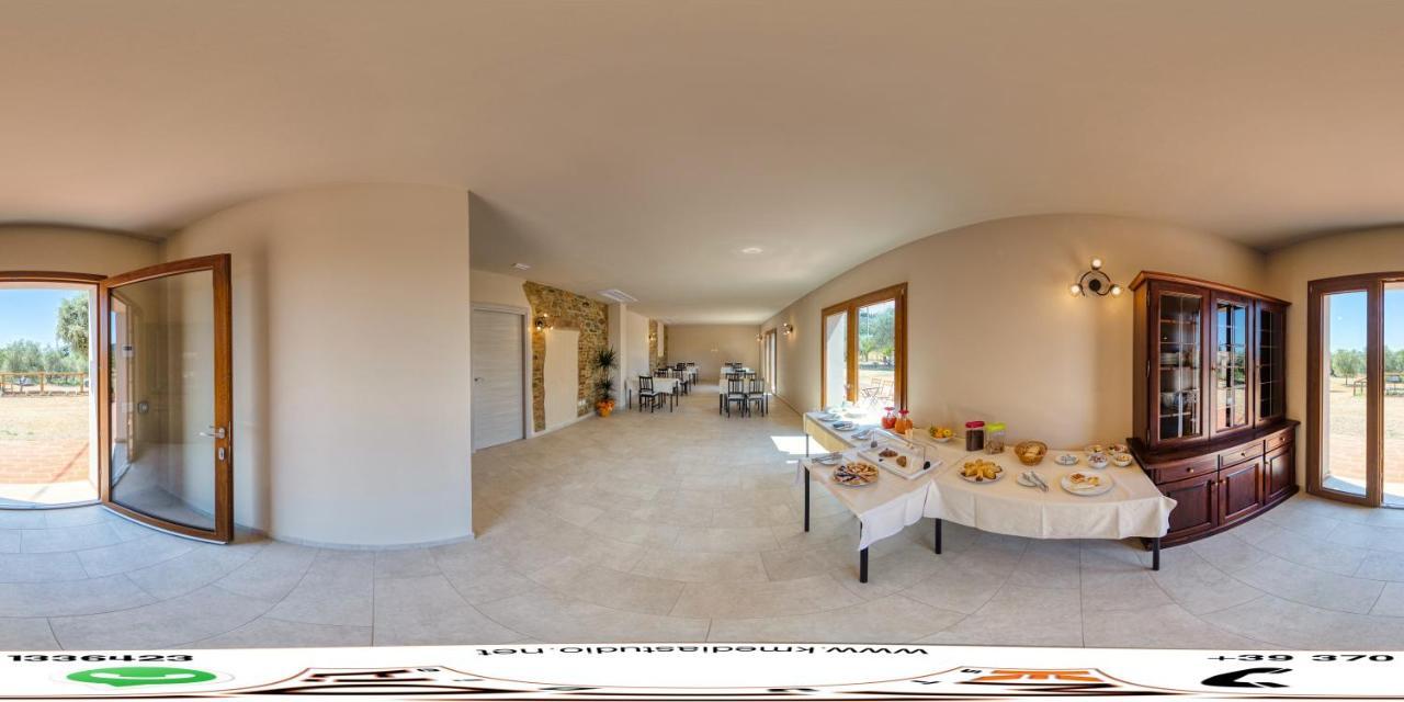 Agriturismo Il Vecchio Olivo Castagneto Carducci Kültér fotó