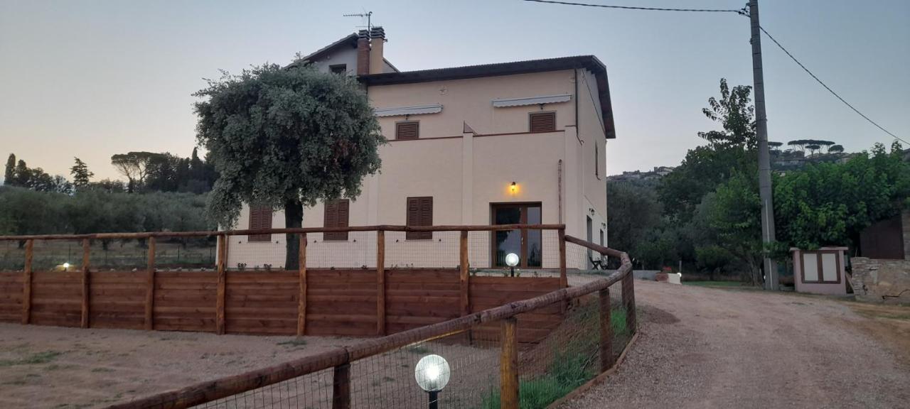 Agriturismo Il Vecchio Olivo Castagneto Carducci Kültér fotó