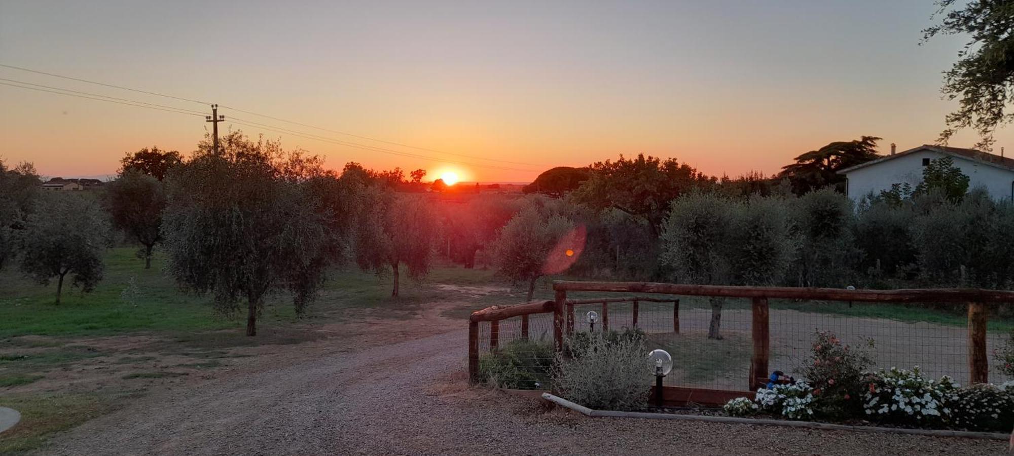 Agriturismo Il Vecchio Olivo Castagneto Carducci Kültér fotó