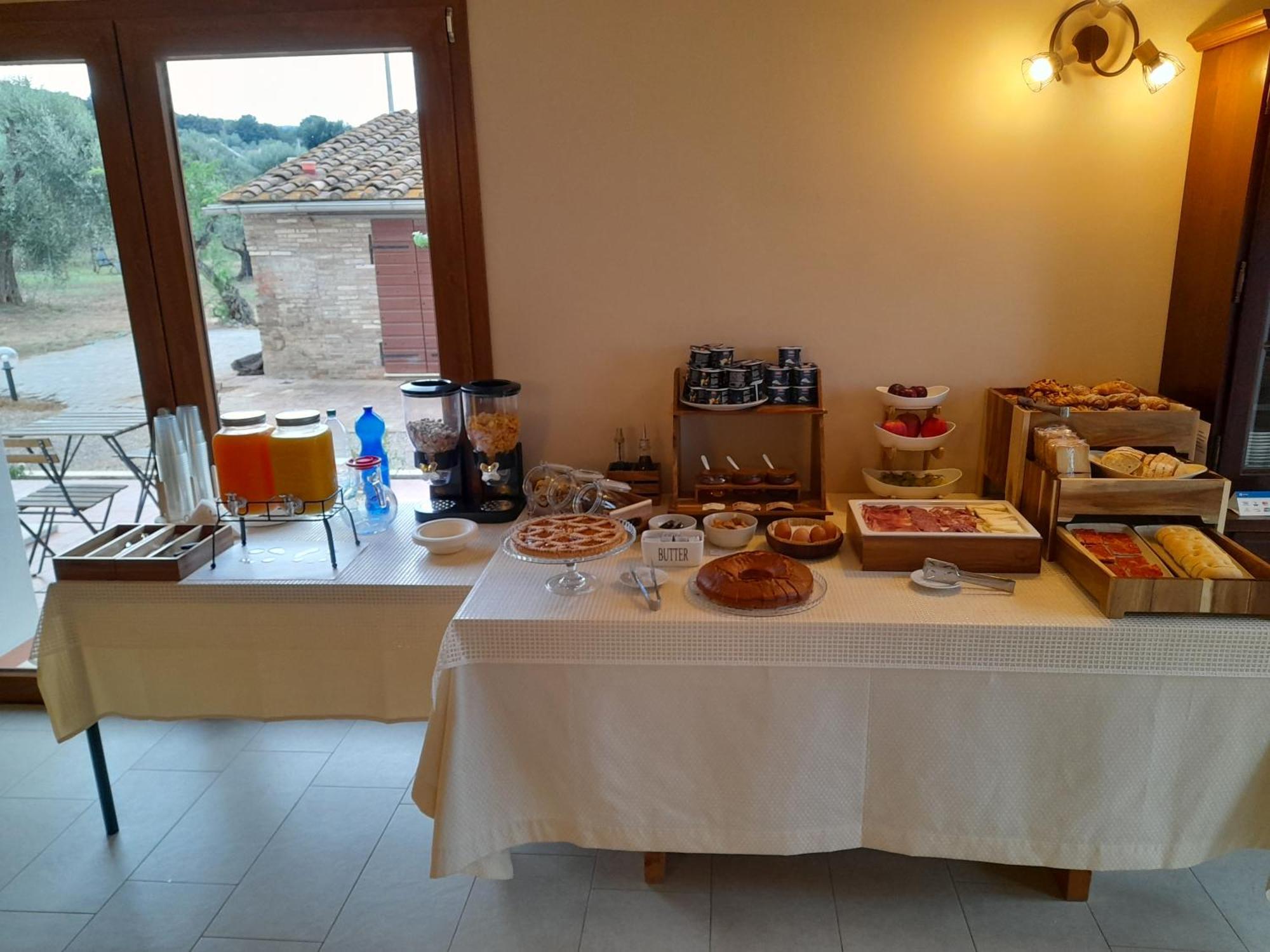 Agriturismo Il Vecchio Olivo Castagneto Carducci Kültér fotó